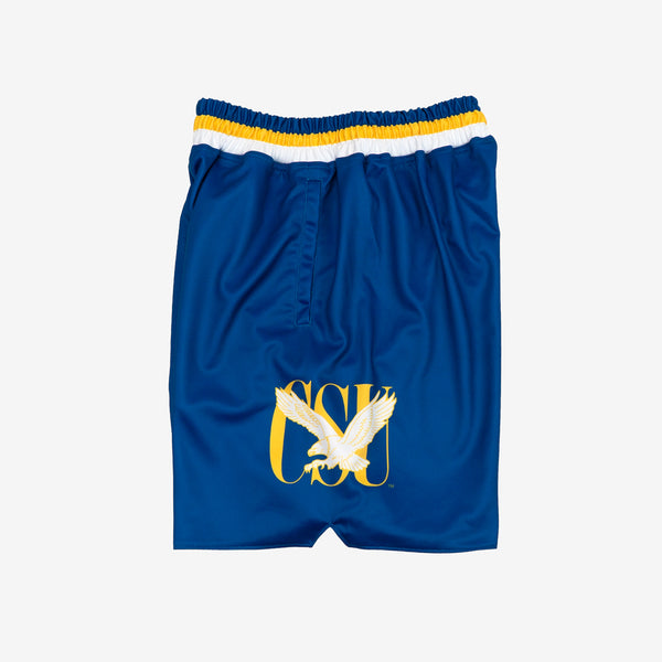 Coppin State Eagles Basketball Jersey - Blue