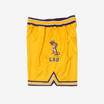 LSU Tigers 1991-1992