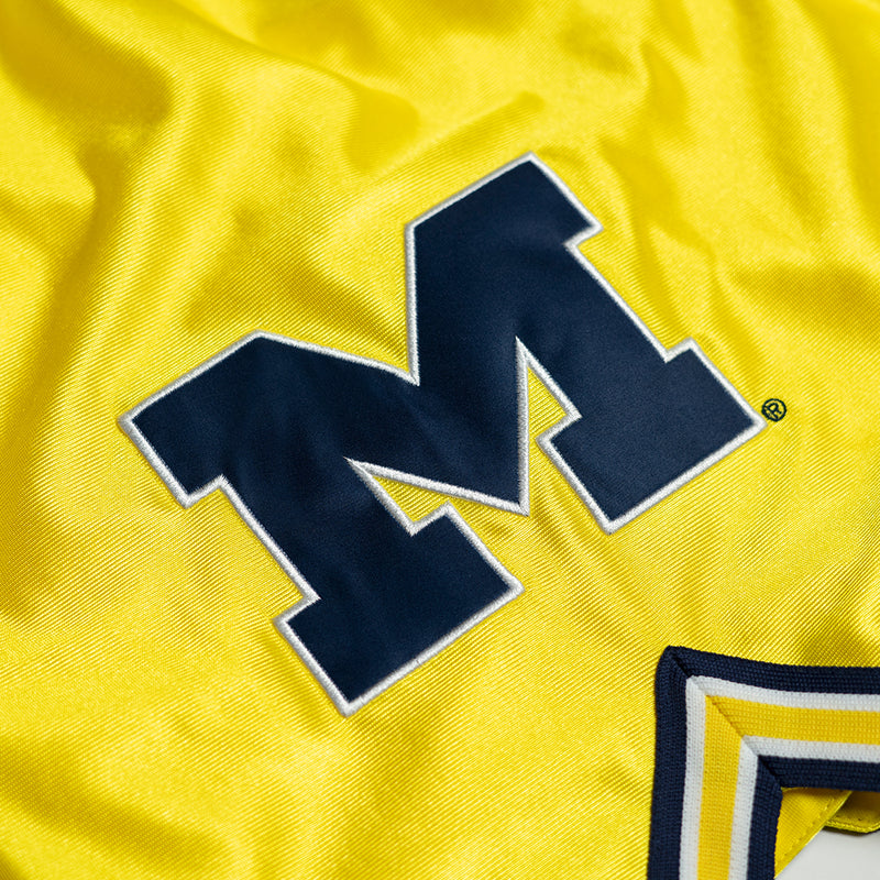 Michigan Wolverines 1992-1993 Legacy