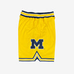 Michigan Wolverines 1992-1993